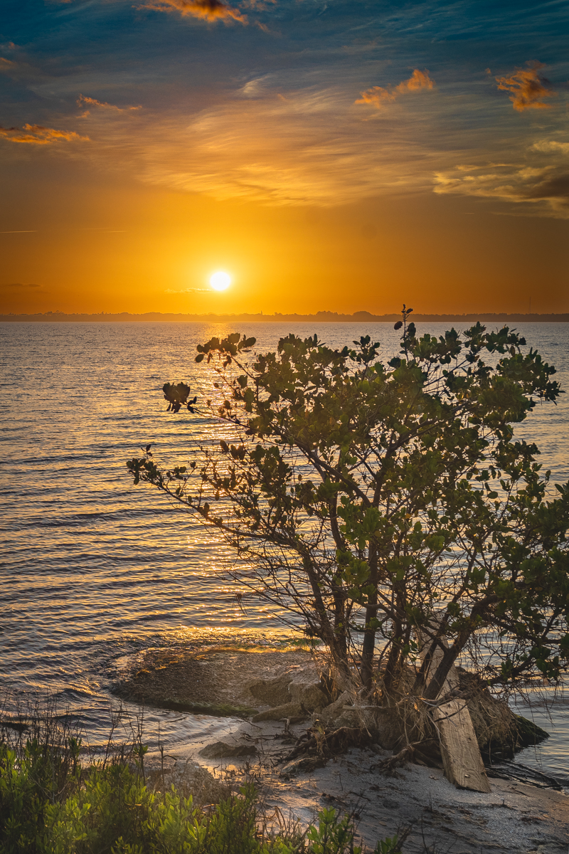 The Gospel is Not Fragile